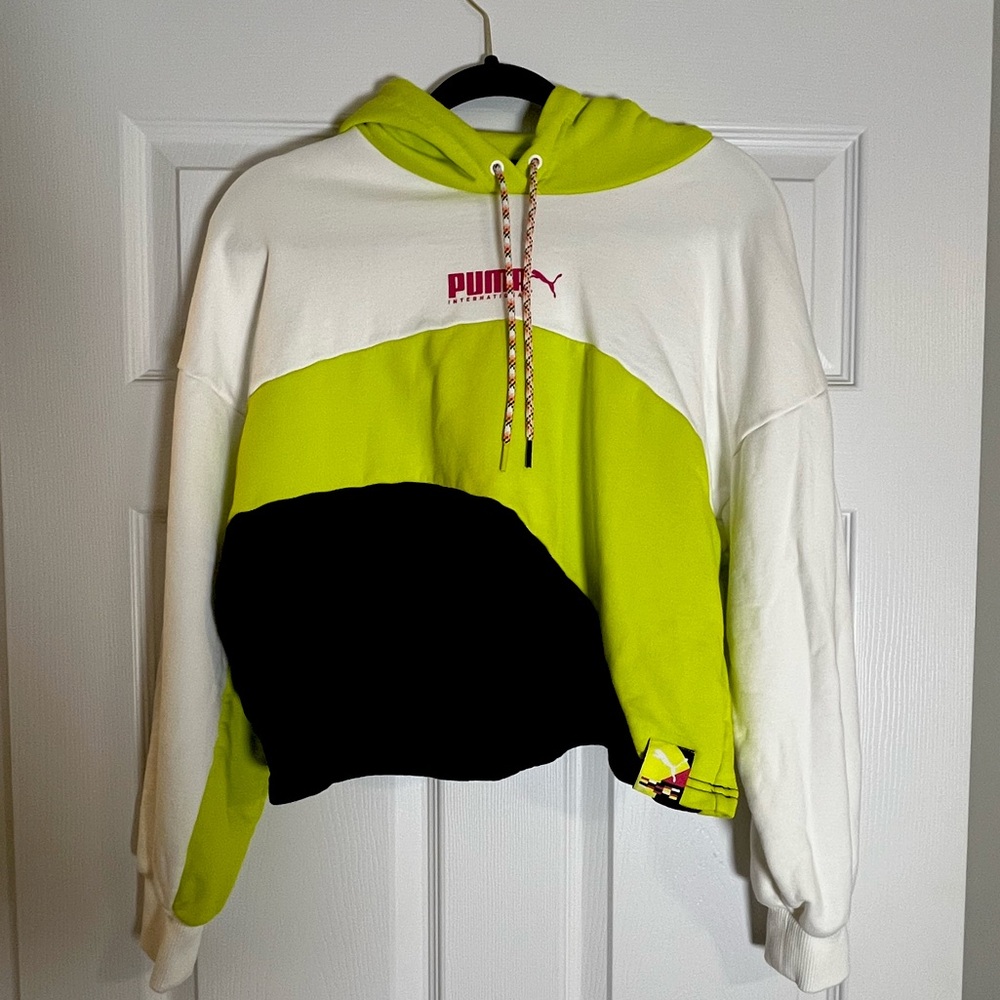Puma Color Block Hoodie